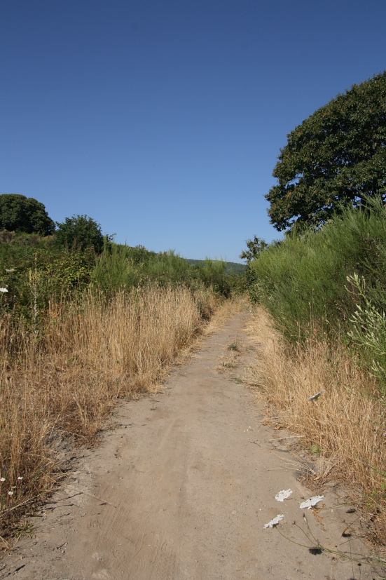 Biodiversit dei Castelli Romani:Le Piagge(Nemi)